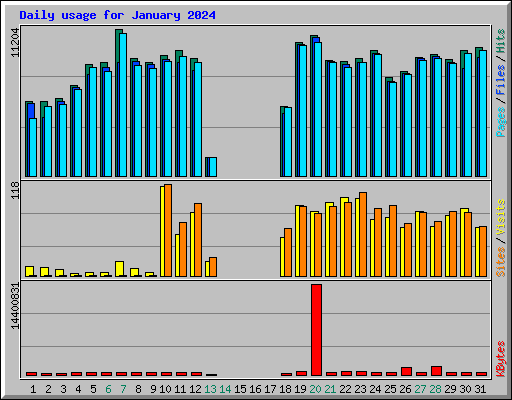 Daily usage for January 2024