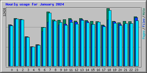 Hourly usage for January 2024