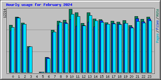 Hourly usage for February 2024