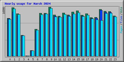 Hourly usage for March 2024
