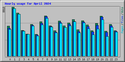 Hourly usage for April 2024