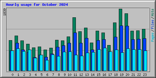 Hourly usage for October 2024