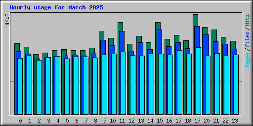 Hourly usage for March 2025